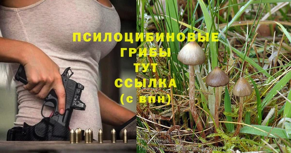 марки lsd Осташков